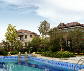 ��(f��)�����l(xi��ng)