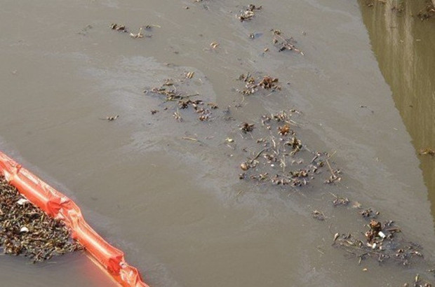 �۽��Ϻ���ɽˮ��Ⱦ�¼�ʼĩ