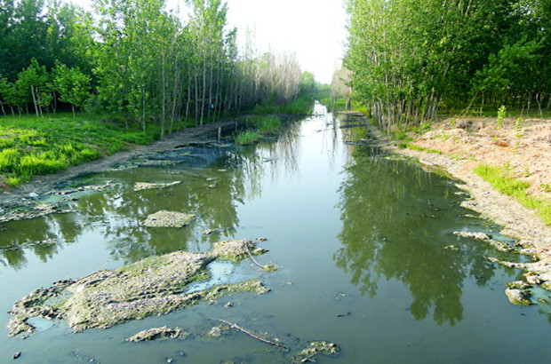 ����ɳ������Ⱦ׷ۙ:�ؾ�����(g��)�ܵ�߀���ź�ˮ