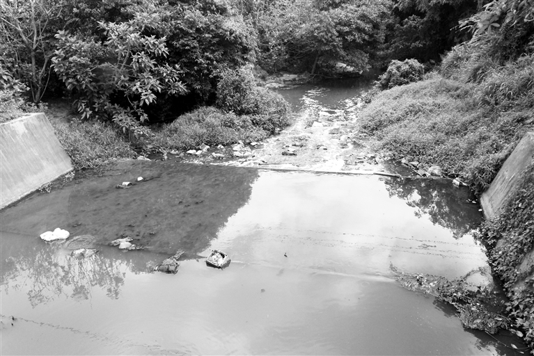 �Ĳ��к�ˮ����Ⱦ ˮ�w׃�ڰl(f��)��