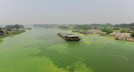 ���ճ����h���������딵���ض���Ⱦ