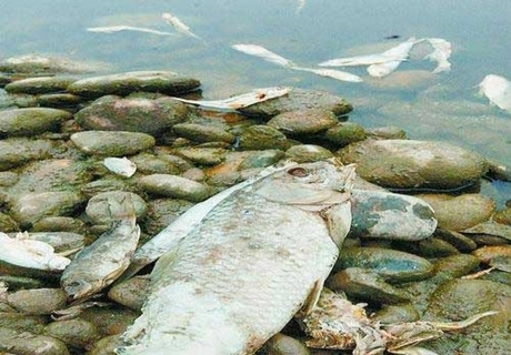 �Ĵ������ش�ˮ��Ⱦ�¹�