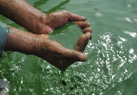 ����������{�屩�l