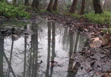 ����������ˮ�¼�